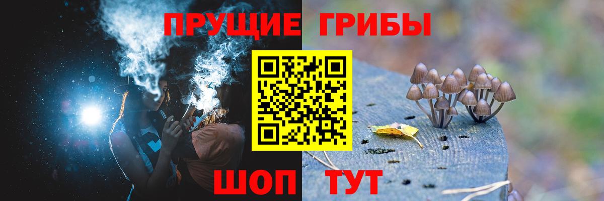 Советский  Псилоцибиновые грибы MAGIC MUSHROOMS  Вход с VPN 